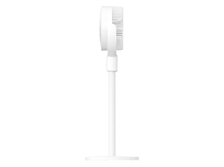image-253.png